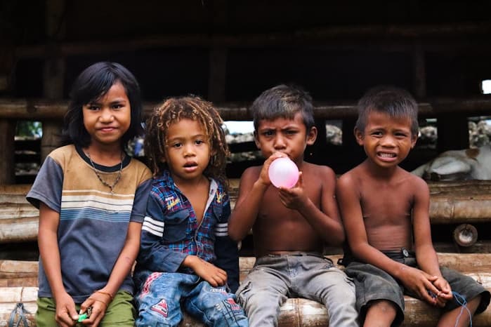 Help feed those in need